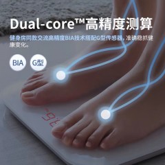 有品.PICOOC智能体脂秤mini lite