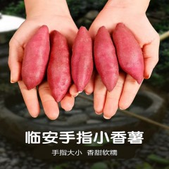 田蜜日记 临安手指小香薯 1箱*4.7斤