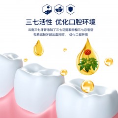 三七 怕上火牙膏（三七花薄荷）升级版V 120g+30g D9012-1V