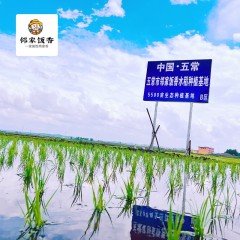 邻家饭香 五常大米 稻花香2号 1袋*5kg LJFX94