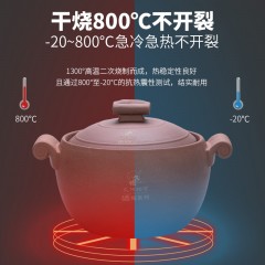 久视 硒陶双盖汤煲JSeT1625M 6000ml