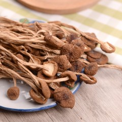 绿帝茶树菇150g