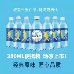 延中 盐汽水1箱*12瓶*380ml