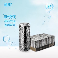 延中苏打汽水 1箱*24箱*330ml