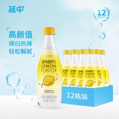 延中 咸柠汽水1箱*12瓶*410ml