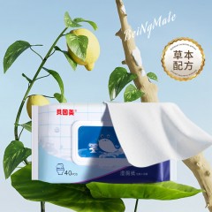 贝因美 淡香型湿厕纸1箱*5包*40抽