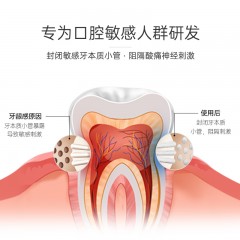 blispring冰泉 冰泉120g抗敏口香牙膏 人参蜂胶味