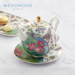 WEDGWOOD玮致活 花间舞蝶一人悦享茶具40035039