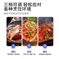 华帝(VATTI) 欧式抽油烟机 家用吸油烟机 E6041AH