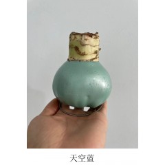 莱克兰 七彩蜡球  24cm+ 苹果绿/丁香紫/银粉/桃粉/天空蓝 下单备注颜色