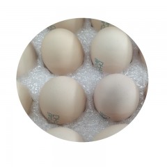 牧族可生食DHA鲜鸡蛋礼盒快递装 30枚/箱