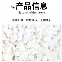 馨艺 小白石子多肉铺面石头养花鹅卵石雨花石鱼缸造景盆栽庭院铺路 白石子4-6mm5斤