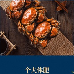 金吉蟹 大闸蟹卡券458型6只（公蟹3.0两*3只+母蟹2.0两*3只）