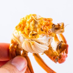 第一网 大闸蟹1298型礼卡（公蟹4.0两*4只、母蟹2.8两*4只）