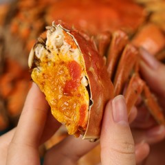 蟹太太 正宗阳澄湖大闸蟹2580型礼盒湖蟹8只（公4.5两*4+母3.5两*4）
