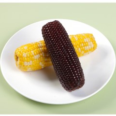 小农仙 有机玉米10支装礼盒（黑玉米6支*200g+4支水果玉米*200g）