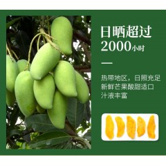 圳味 芒果干100g*3 6972666220129