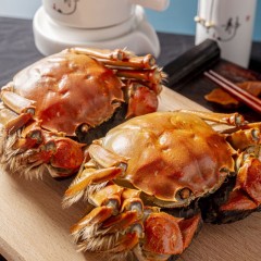 湖客行 阳澄湖大闸蟹礼券1888型 公3.5两母2.5两 4对8只