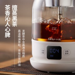 小熊（Bear）养生壶 煮茶器 蒸汽喷淋式煮茶壶烧水壶电热水壶迷你玻璃花茶壶黑茶 ZCQ-A08T1 多段调温