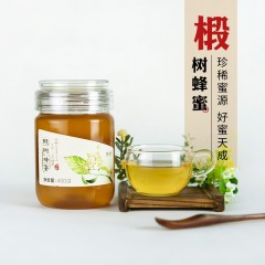 甄优 椴树蜜450g