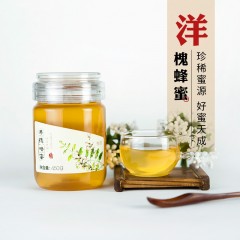 甄优 洋槐蜜 450g