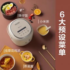 小熊 电饭煲DFB-P20H1  2L 6940971230522