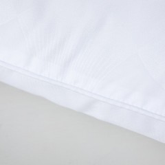 水星家纺 春夜抗菌枕74 ×48cm 123032 6936626738321