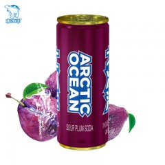 北冰洋  酸梅汽水330ml*24听