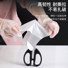 好媳妇 TPE手套2盒*100个 AGW-5004A-80*2 6935978050044