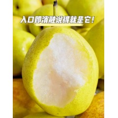 新疆库尔勒香梨 5斤全母（约20-25枚）