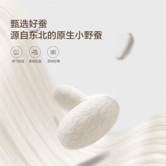 水星家纺 星·丝柔抗菌蚕丝春秋被 200cm×230cm  531239 6936626728339 900g