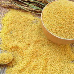 天地粮人黄小米350g 6920679201024
