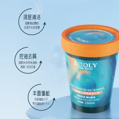 卓蓝雅 生姜海盐洗沐套装（250ml海盐洗头膏+450ml沐浴露）