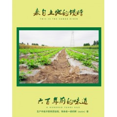 尚羡溢 一级压榨花生油5000ml 6974522680177