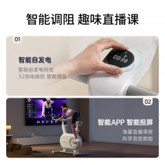 西屋（Westinghouse）动感单车家用运动器材磁控健身车商用室内健身房自行车 西屋动感单车WBWB13D PLUS