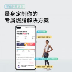 西屋（Westinghouse）划船机家用磁控收腹室内划船器运动健身器材器械低噪磁阻 32档电动磁控阻力/WR32D白色