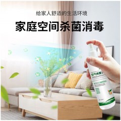 洗得宝 空气喷雾消毒液2*250ml  6933104901574