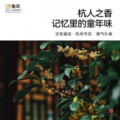 鱼戏 藕粉伴侣满陇糖桂花150g 6976081850039