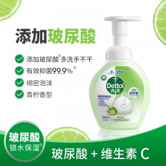 滴露泡沫抑菌洗手液青柠型250ml