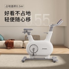 西屋  动感单车 WB32DZ-WH 6972078682805