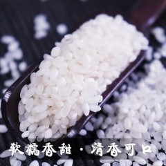 麒越 白粒米5KG 编织袋包装