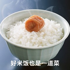 崇明大米 香稻米大米5kg