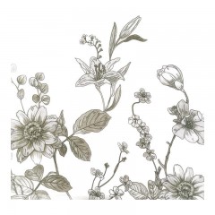 洁丽雅 全棉棉花夏被JLY-ZMX2（秋水薄荷）200*230cm 1700g