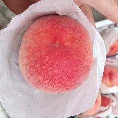 佳沃 洋洋美美产地水果组合 约7kg（东魁杨梅17g+/1.4kg彩箱礼盒装+龙泉驿水蜜桃170g3斤装）