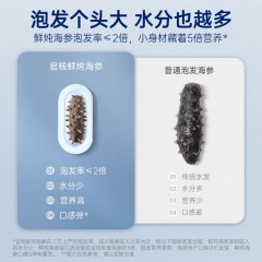 官栈5S系列鲜炖海参120g（7条/盒）-CSW/6975455760189