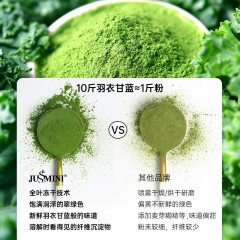 JUSSMINI 冻干羽衣甘蓝粉45克 6971286908929