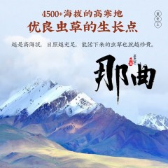 雷允上 那曲冬虫夏草甲级20g礼盒装6920032801533