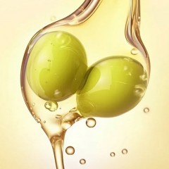 礼道和 山茶橄榄油礼盒900ml*2桶  6976559260841