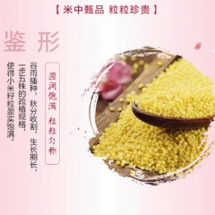 金龙鱼 爱心桃花小米400g*2袋 6948195852100