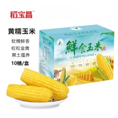 稻宝昌 鲜食玉米 10穗2600g